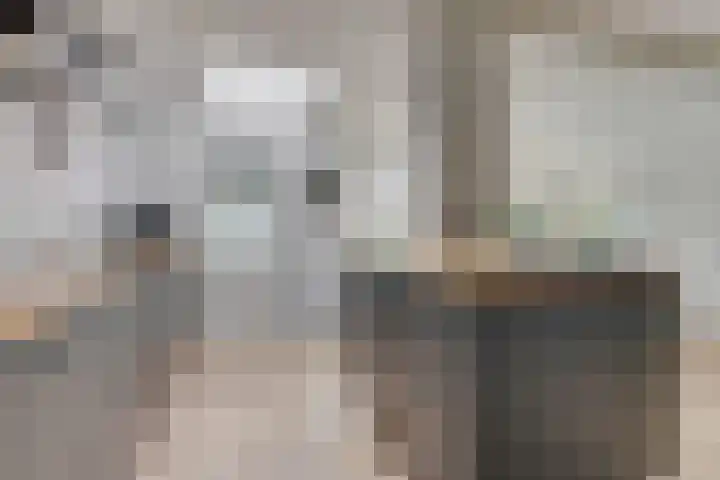 Groote Olven 9 Heiloo thumbnail 19