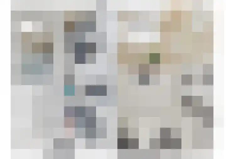 Groote Olven 9 Heiloo thumbnail 20