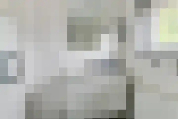 Groote Olven 9 Heiloo thumbnail 25