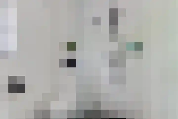 Groote Olven 9 Heiloo thumbnail 26