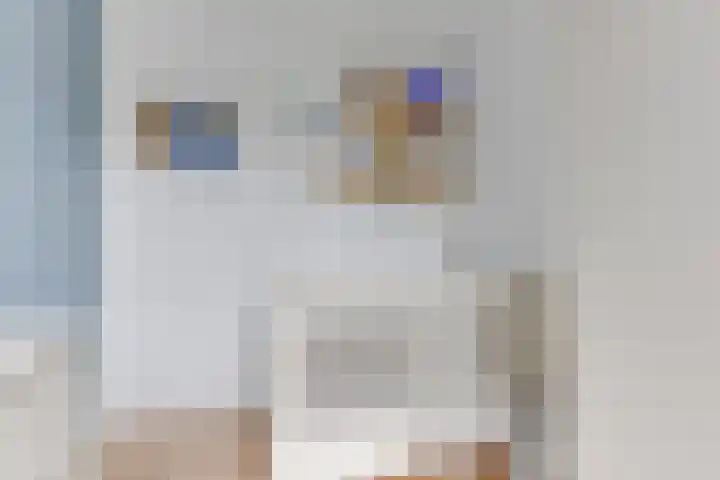 Groote Olven 9 Heiloo thumbnail 30
