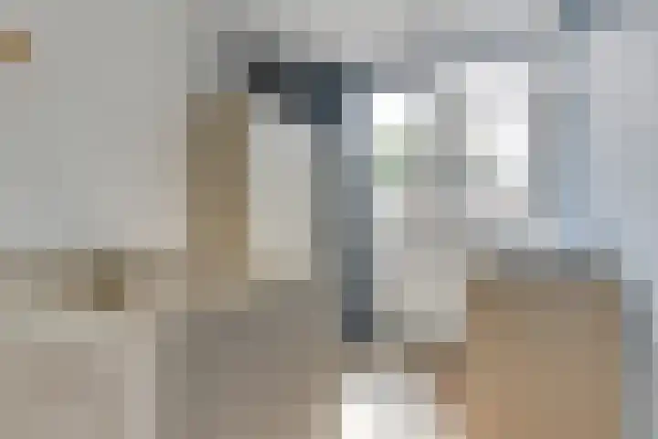 Groote Olven 9 Heiloo thumbnail 31
