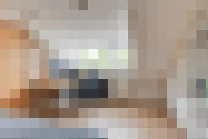 Groote Olven 9 Heiloo thumbnail 35