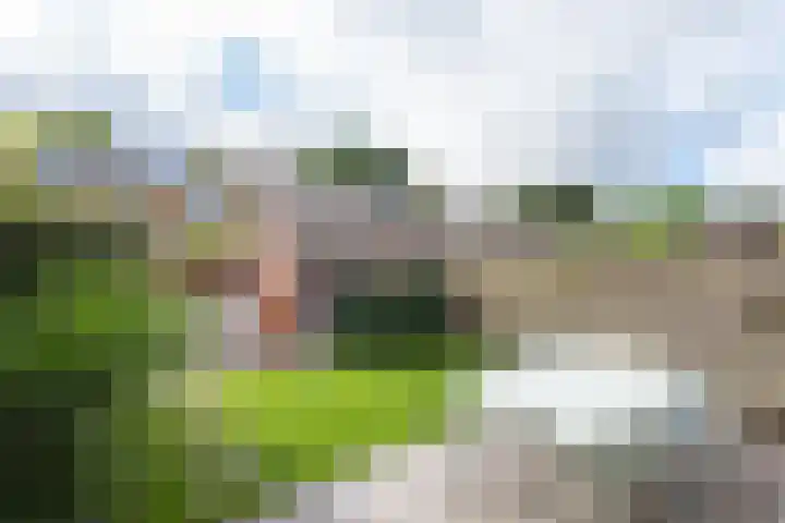 Groote Olven 9 Heiloo thumbnail 36