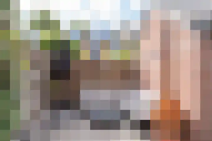 Groote Olven 9 Heiloo thumbnail 40