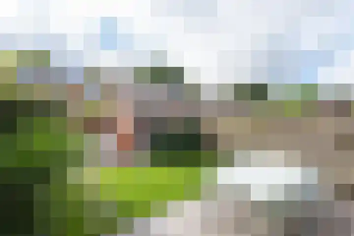 Groote Olven 9 Heiloo thumbnail 5