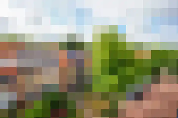 Groote Olven 9 Heiloo thumbnail 6