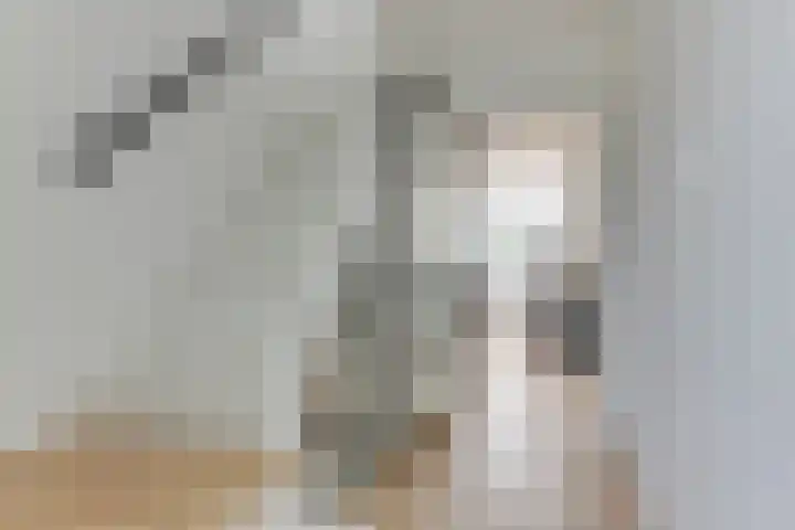 Groote Olven 9 Heiloo thumbnail 9
