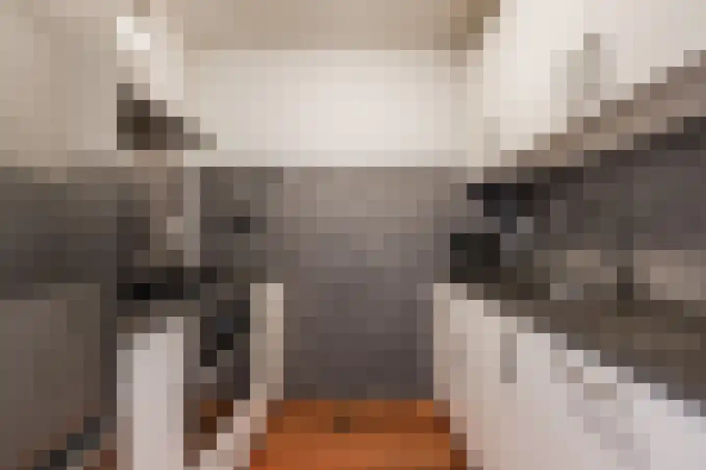 Groote Peel 44 Diemen thumbnail 12