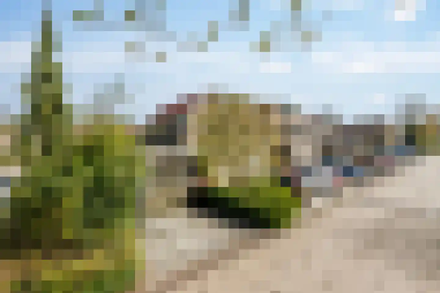 Groote Peel 44 Diemen thumbnail 24
