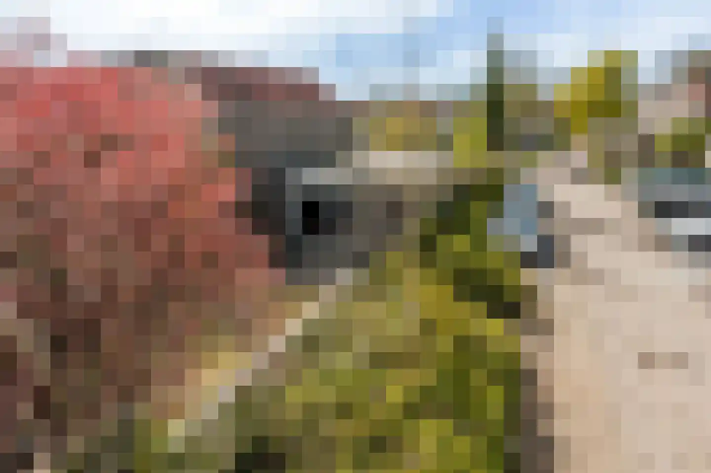 Groote Peel 44 Diemen thumbnail 26