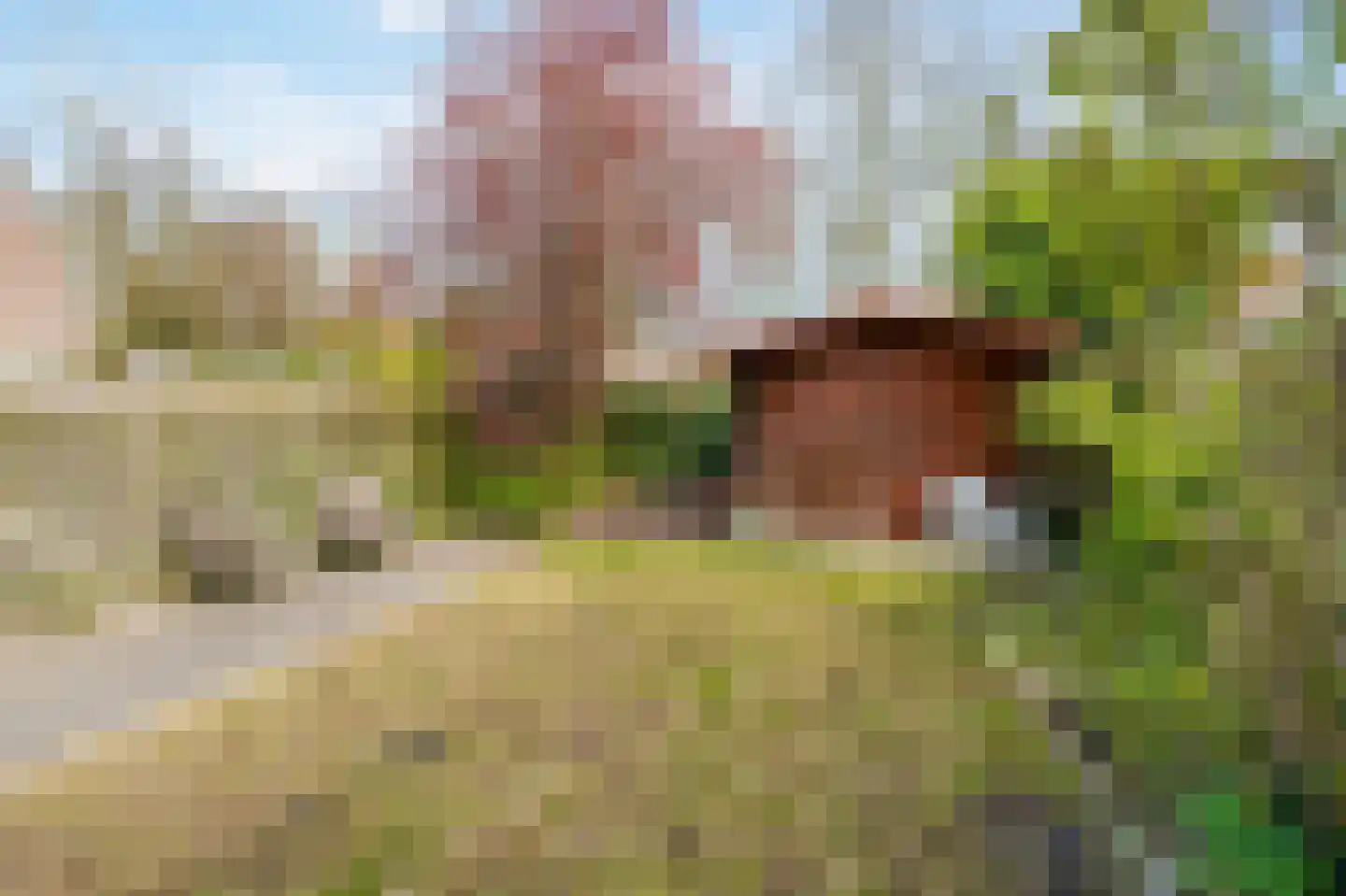 Groote Peel 44 Diemen thumbnail 27