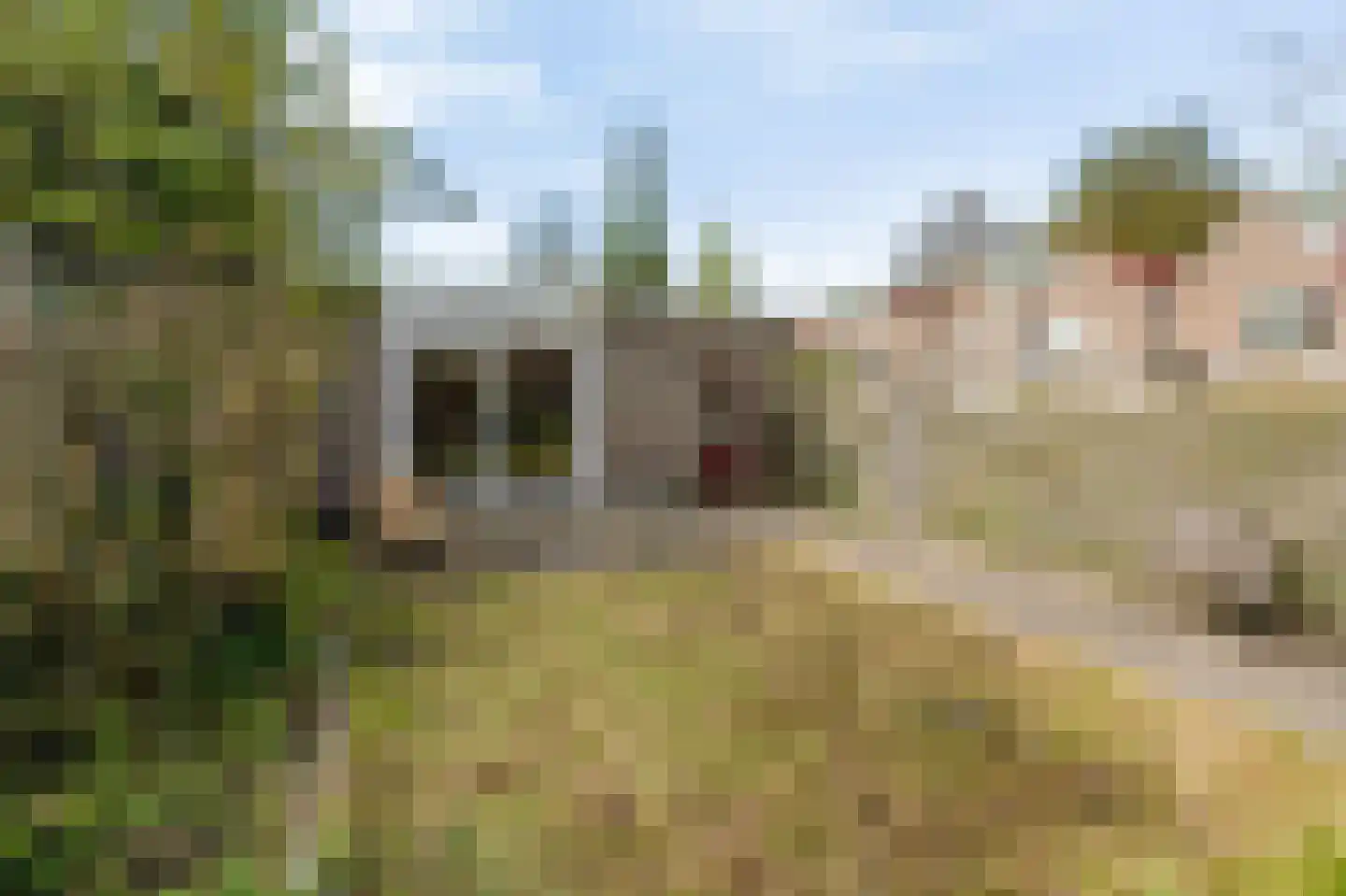 Groote Peel 44 Diemen thumbnail 28