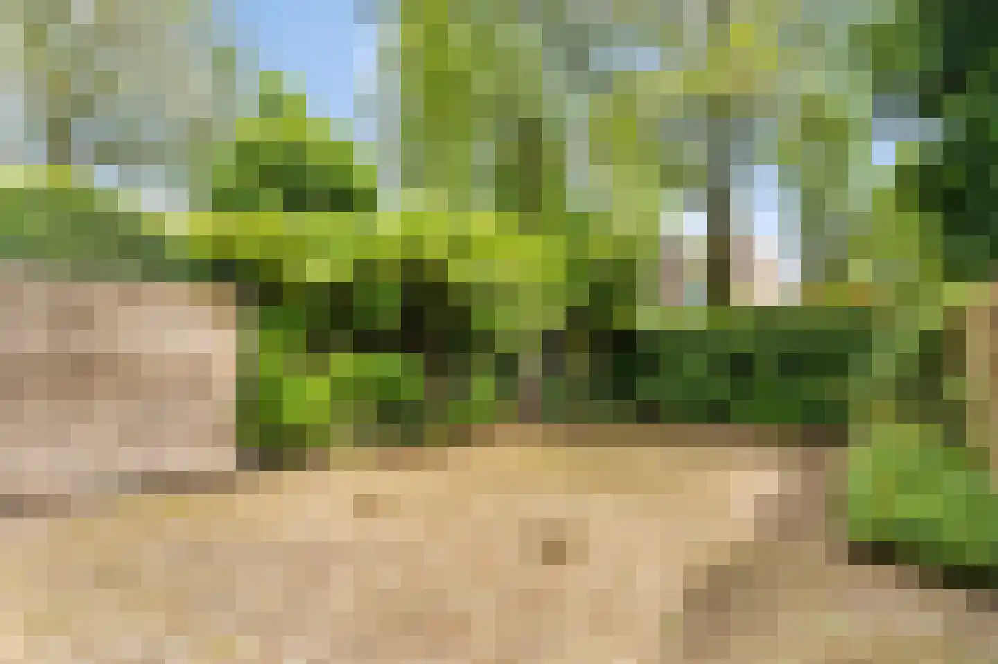 Groote Peel 72 Diemen thumbnail 11