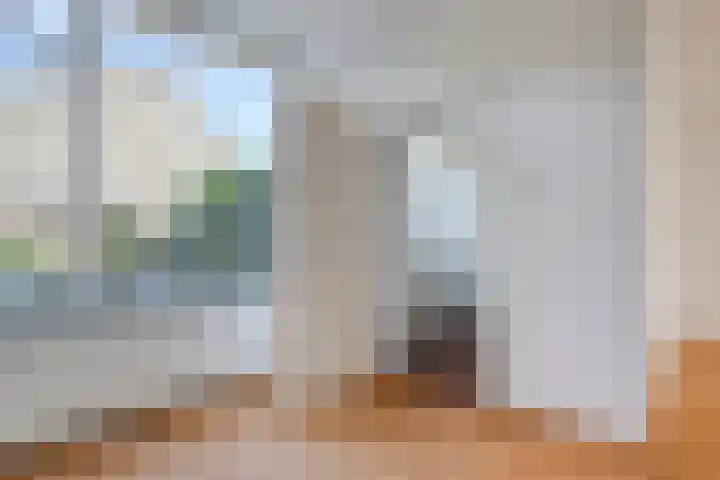 Groote Ruyghte 5 Oud-Beijerland thumbnail 13