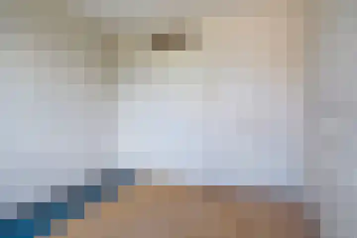 Groote Ruyghte 5 Oud-Beijerland thumbnail 23