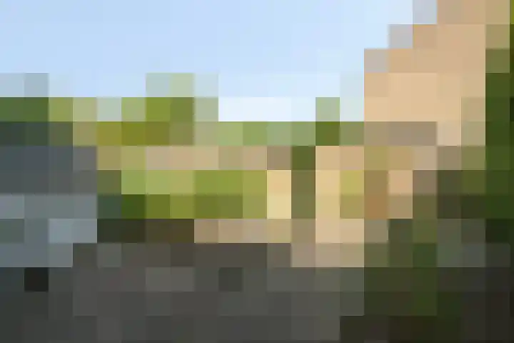 Groote Ruyghte 5 Oud-Beijerland thumbnail 31