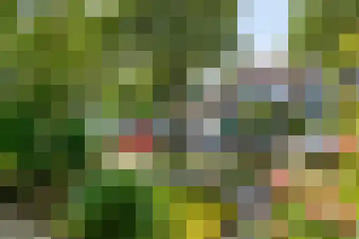 Groote Ruyghte 5 Oud-Beijerland thumbnail 36