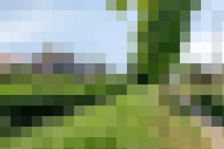 Groote Ruyghte 5 Oud-Beijerland thumbnail 40