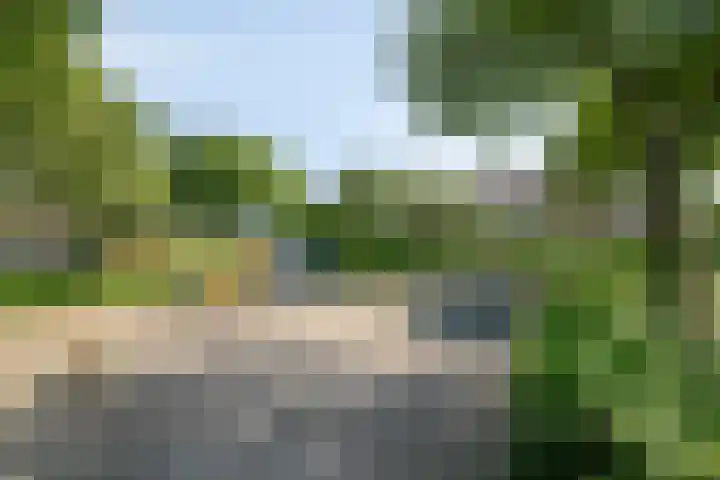 Groote Ruyghte 5 Oud-Beijerland thumbnail 41
