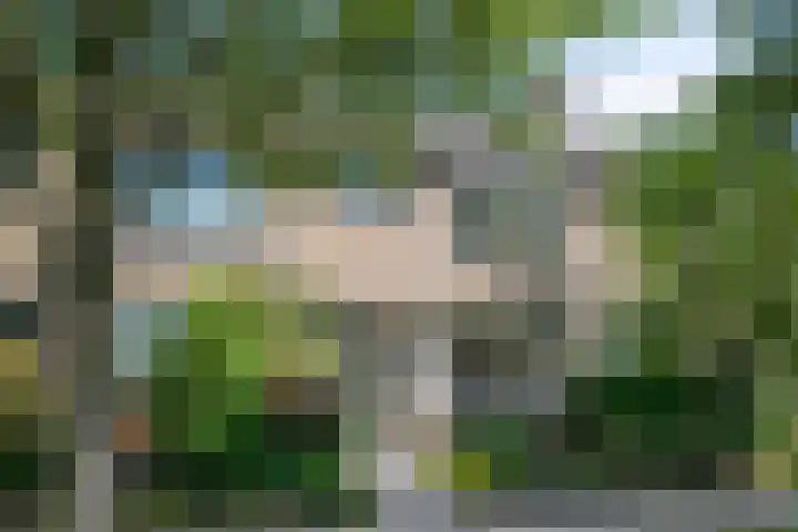 Groote Ruyghte 5 Oud-Beijerland thumbnail 5