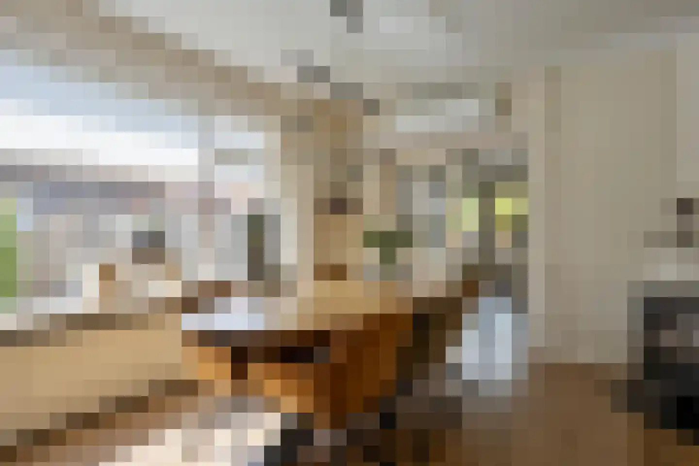 Groote Singel 4 Oosterwolde thumbnail 10