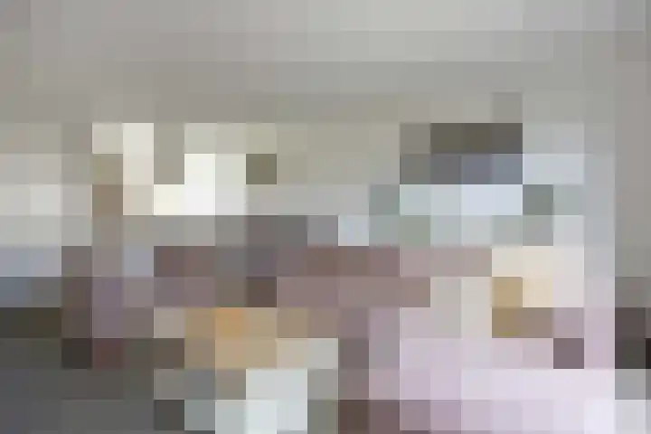 Groote Veen 14 Eelde thumbnail 12