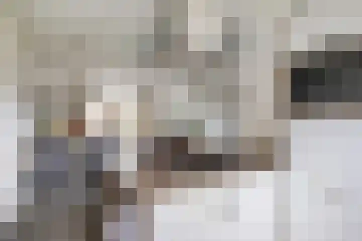 Groote Veen 14 Eelde thumbnail 17