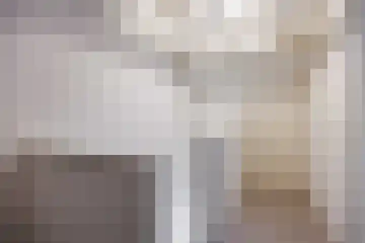 Groote Veen 14 Eelde thumbnail 30