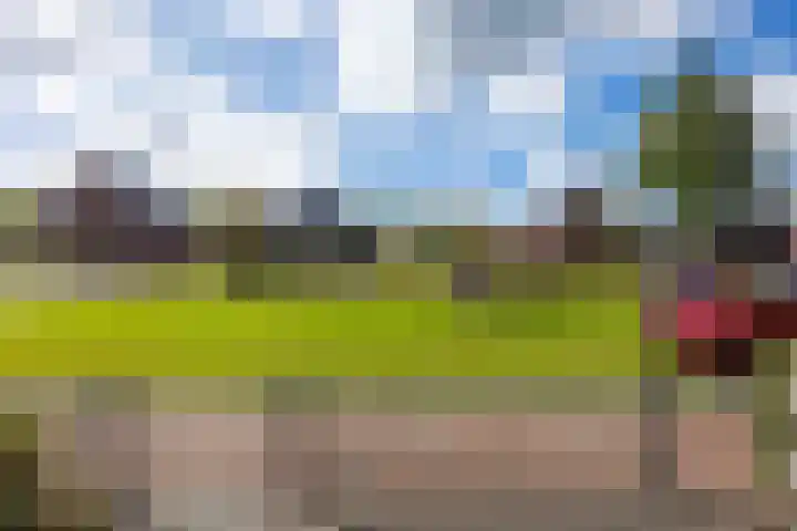 Groote Veen 14 Eelde thumbnail 38