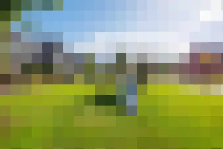 Groote Veen 14 Eelde thumbnail 40