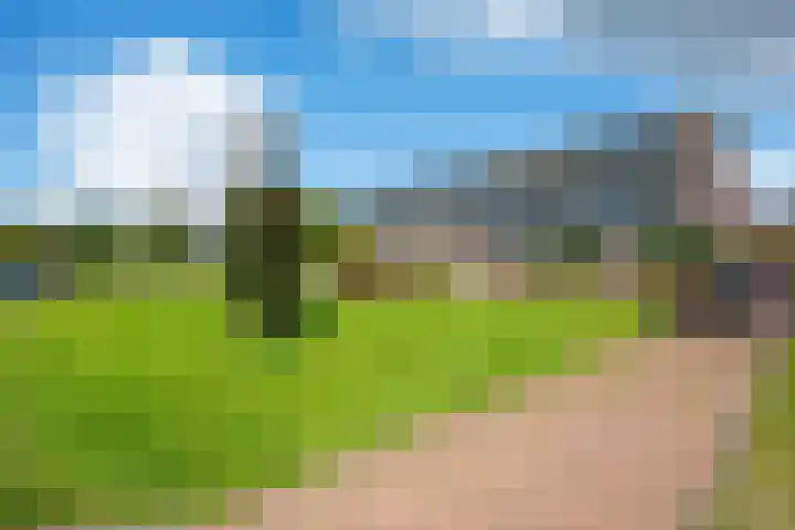 Groote Veen 14 Eelde thumbnail 41