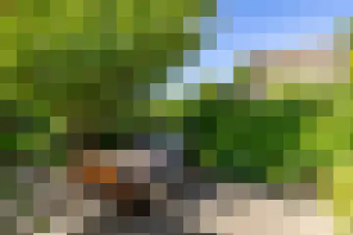 Groote Veen 53 Eelde thumbnail 22