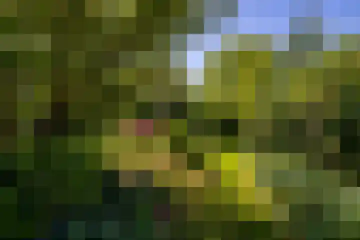 Groote Veen 53 Eelde thumbnail 23