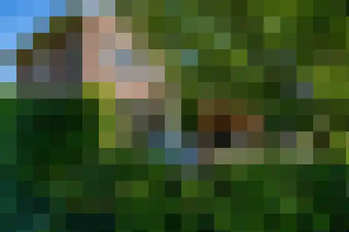 Groote Veen 53 Eelde thumbnail 24