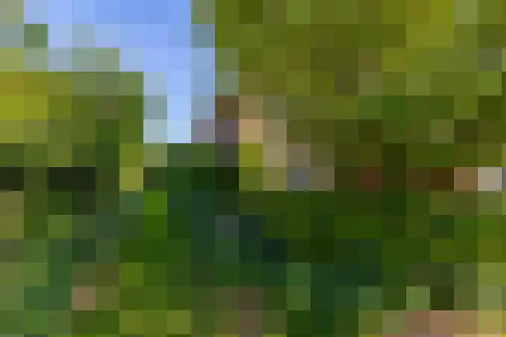 Groote Veen 53 Eelde thumbnail 25