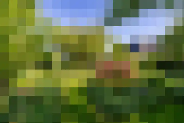 Groote Veen 53 Eelde thumbnail 26