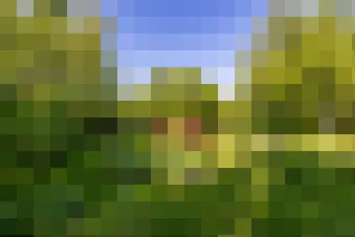 Groote Veen 53 Eelde thumbnail 4