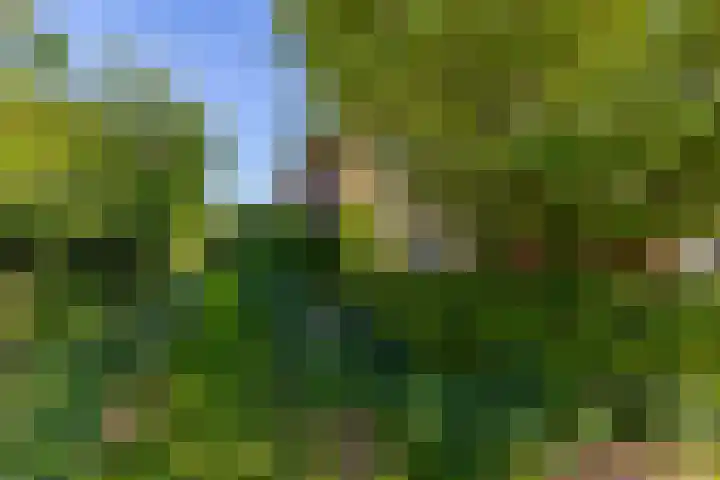 Groote Veen 53 Eelde thumbnail 40