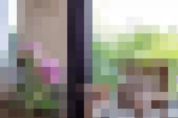 Groote Veen 79 Eelde thumbnail 19