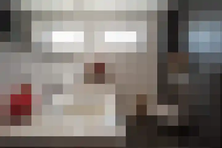 Groote Veen 79 Eelde thumbnail 30