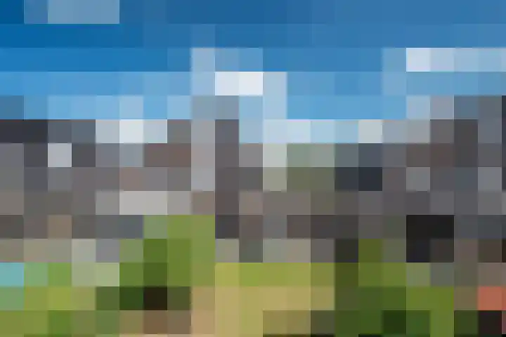 Groote Veen 79 Eelde thumbnail 38