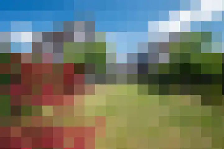 Groote Veen 79 Eelde thumbnail 41