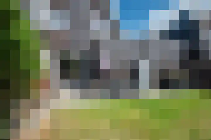 Groote Veen 79 Eelde thumbnail 42