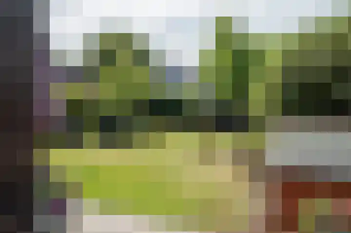 Groote Veen 79 Eelde thumbnail 44
