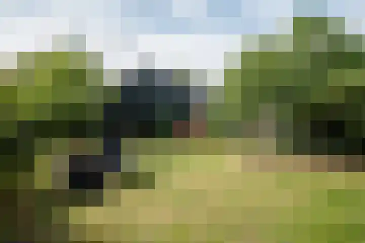 Groote Veen 79 Eelde thumbnail 45