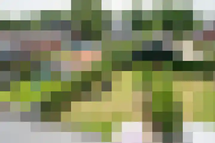 Groote Veen 79 Eelde thumbnail 46