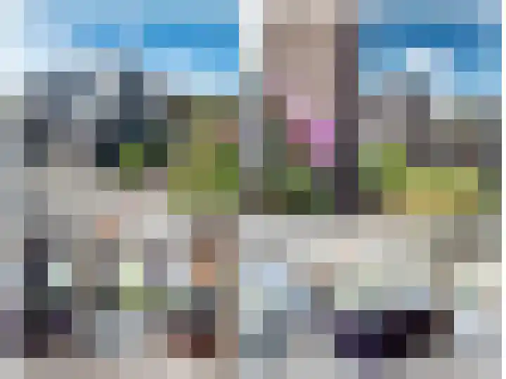 Groote Veen 79 Eelde thumbnail 47
