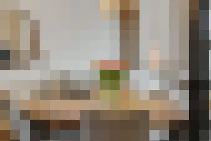 Groote Wielenlaan 144 Rosmalen thumbnail 10
