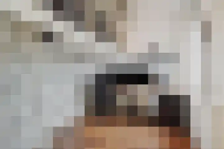 Groote Wielenlaan 144 Rosmalen thumbnail 19
